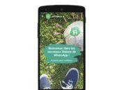 Après Stories Snapchat Instagram, Statuts WhatsApp