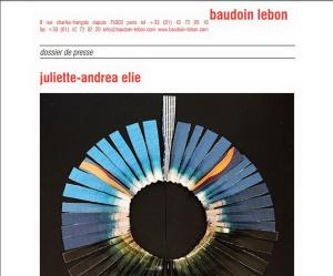 Galerie Baudoin Lebon – à partir du 1er Mars 2017- exposition Juliette-Andrea ELIE « Invisibles mondes visibles »