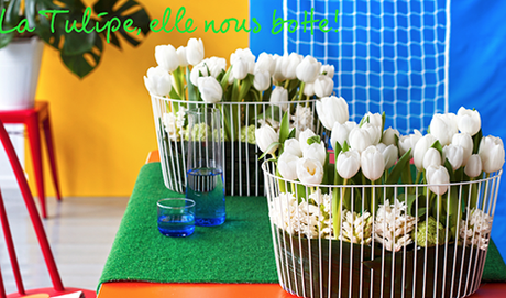 ‘La Tulipe, elle nous botte’ pour la déco de la Maison !