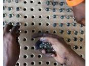 Gambie prime dictature, nécessaire