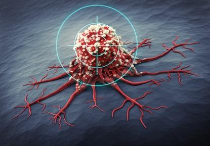 HORLOGE BIOLOGIQUE: La remettre à l'heure arrête la tumeur – BMC Biology