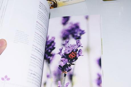 J'ai lu : Se soigner avec les plantes