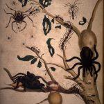 Les Illustrations de Veranderingen du Surinam