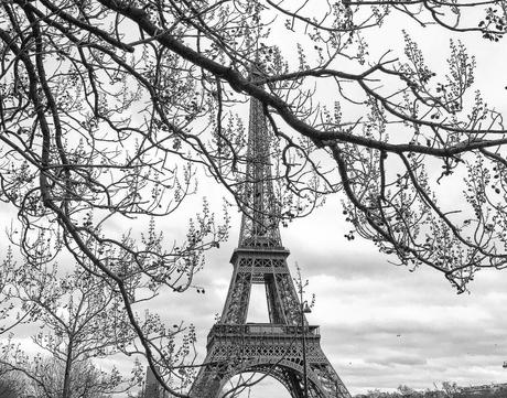 1 photo 1 histoire | Contempler Paris dans ses yeux …