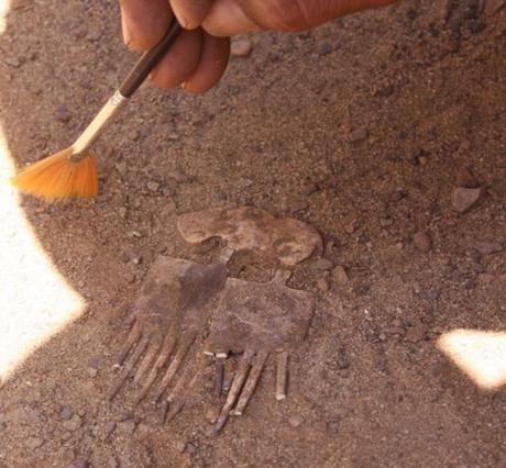 ânkh et sa newsletter consacrée à l'activité du mois de mars 2015...