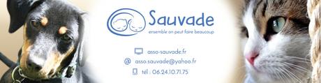 SAUVADE