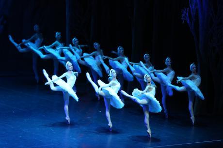 A Company Of Swans, Eva Ibbotson (1985)