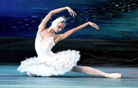 A Company Of Swans, Eva Ibbotson (1985)