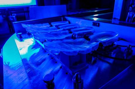 Nike Fresh Air From Oregon