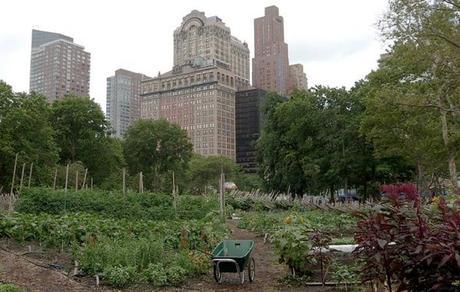Cycle ciné-rencontre écolo au Rize de février à juin 2017 des-cultures-et-des-villes
