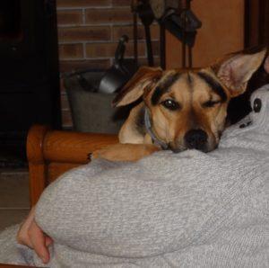 Haïkus 32 : mon chien, mon meilleur ami