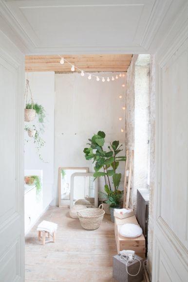 Little Charming Lights Little Charming Lights