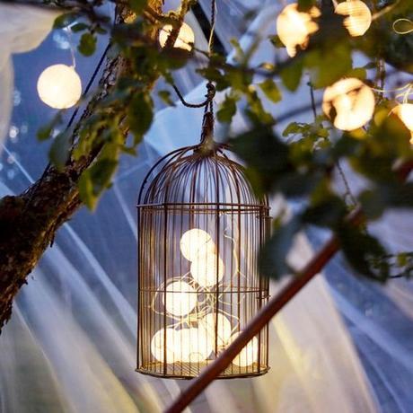 Little Charming Lights Little Charming Lights