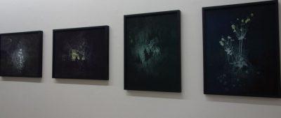 Simone Kappeler « Fleur »