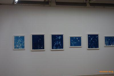 Simone Kappeler « Fleur »