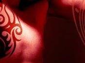 Clan Nocturnes Adam Jacquelyn Frank