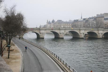 Balade d’hiver le long de la Seine : Vincennes – Notre Dame – Les Halles (Paris 5-Paris1)