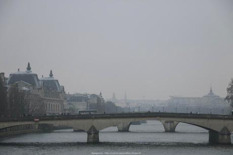 Balade d’hiver le long de la Seine : Vincennes – Notre Dame – Les Halles (Paris 5-Paris1)