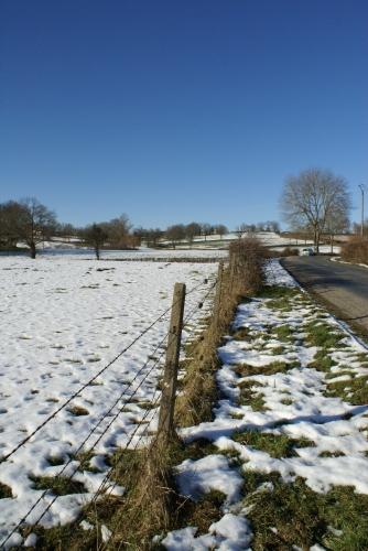 snow, neige, fence, barrière, grillage, barbelé, barbwire, herbe, grass, field, champ, route, road