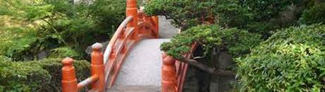Pour un jardin Zen, adoptez la Chaîne de Pluie* !