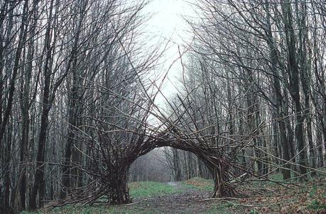 Land Art par Andy Goldsworthy