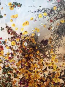 Domaine de Chaumont-sur-Loire Festival des Jardins 2017 à partir du 1er Avril 2017 Domaine de Chaumont-sur-Loire Festival des Jardins 2017 à partir du 1er Avril 2017
