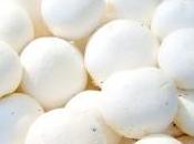 champignon plus parisien