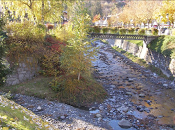 fameuse moustache Dynastar