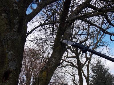 Test de l'échenilloir Solid Fiskars