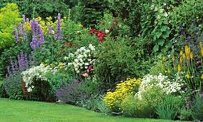 [Podcast] ‘Les Conseils Jardin de Françoise’ : la remise en état du Jardin au Printemps !