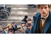 tournage Animaux Fantastiques commencera