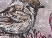 Chante oiseau ,chante mots