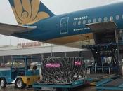 Fondation Airbus Vietnam Airlines livrent appareils dialyse rénale l’hôpital néphrologie Hanoï