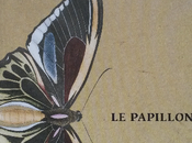 papillon