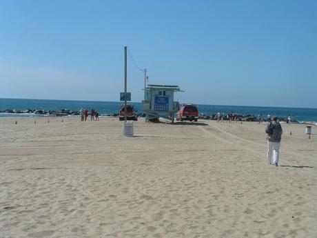 LE GRAND OUEST AMERICAIN #3: VENICE BEACH