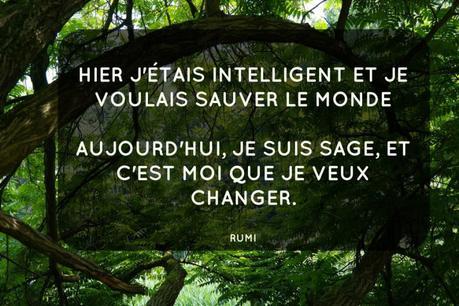 Et si on essayait de sauver notre peau (et celle des gibbons)?