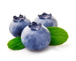 DÉCLIN COGNITIF : Du jus de myrtilles pour booster la cognition – Applied Physiology, Nutrition and Metabolism