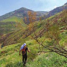 3e Festival Palestine en vue du 5 au 14 avril 2017