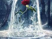 [CRITIQUE] belle bête