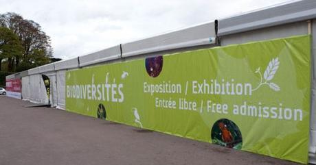 Comment attirer plus de clients dans un magasin, une boutique, un restaurant… via l’affichage et la PLV extérieure ? Comment attirer plus de clients dans un magasin, une boutique, un restaurant… via l’affichage et la PLV extérieure ?