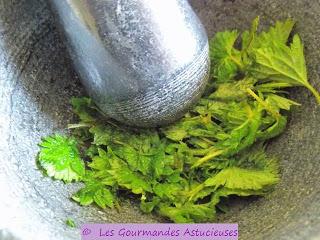 Comment manger facilement des Orties crues ?