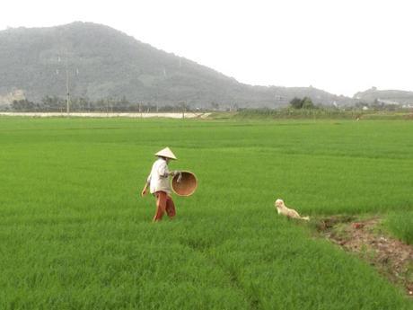 Nha Trang : un week-end sur les traces d’Alexandre Yersin