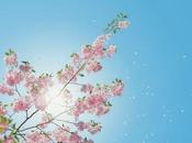 C’est l’printemps Soyons créatifs…