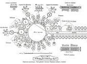 machine différences
