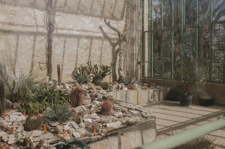 jardin des plantes montpellier