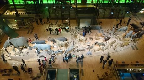 [Musée] Grande Galerie de l’Evolution : A voir absolument !