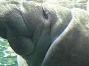 Sortir avec kids Paris week-end mars 2017)