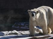 jamais priver d'une bonne histoire