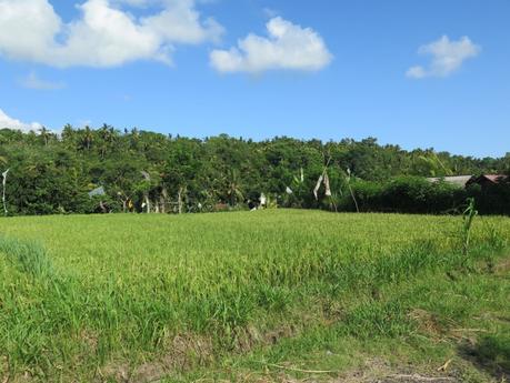 Se loger à l’est de Bali : le Gumi Bali au coeur des rizières