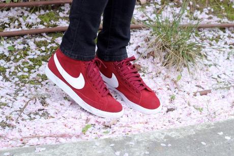 Les cerisiers en fleurs Les cerisiers en fleurs